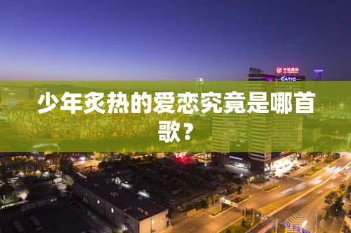 少年炙热的爱恋究竟是哪首歌？