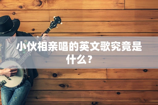 小伙相亲唱的英文歌究竟是什么？