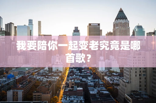 我要陪你一起变老究竟是哪首歌？