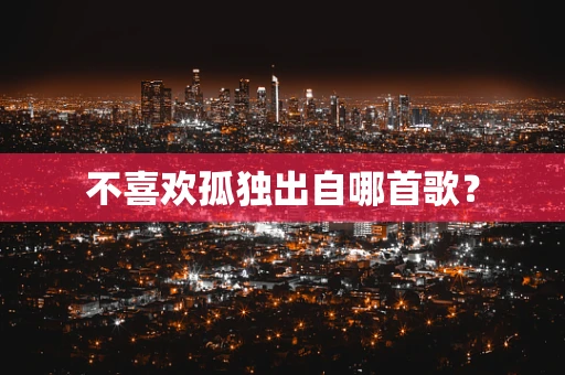 不喜欢孤独出自哪首歌？