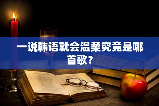 一说韩语就会温柔究竟是哪首歌？