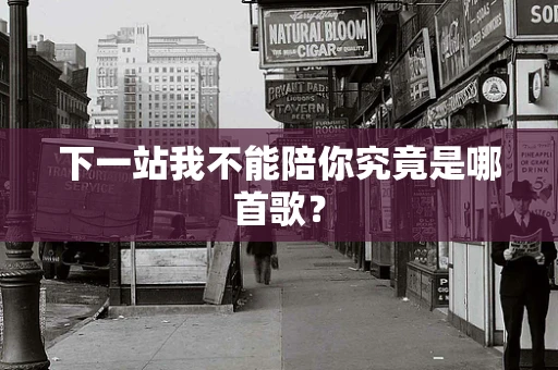 下一站我不能陪你究竟是哪首歌？