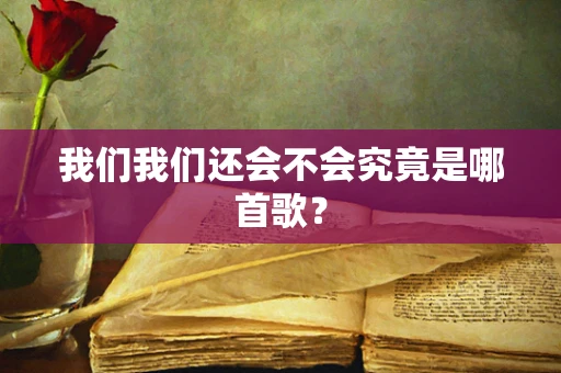 我们我们还会不会究竟是哪首歌？