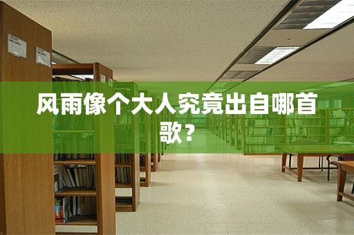 风雨像个大人究竟出自哪首歌？