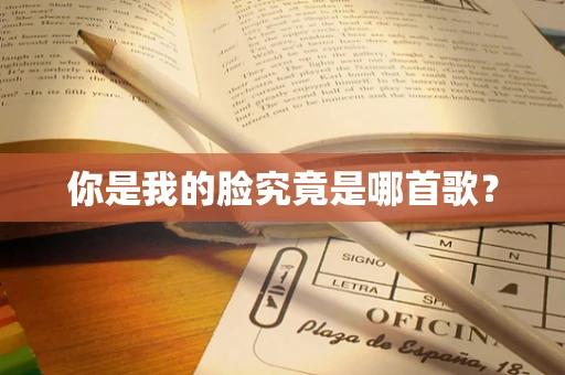 你是我的脸究竟是哪首歌？