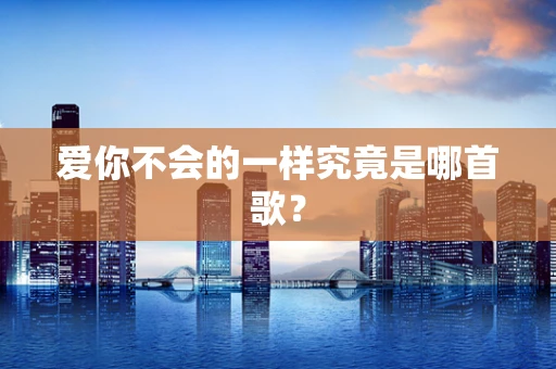 爱你不会的一样究竟是哪首歌？