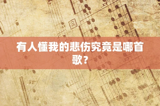 有人懂我的悲伤究竟是哪首歌？