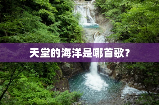 天堂的海洋是哪首歌？