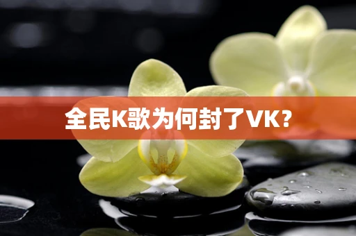 全民K歌为何封了VK？