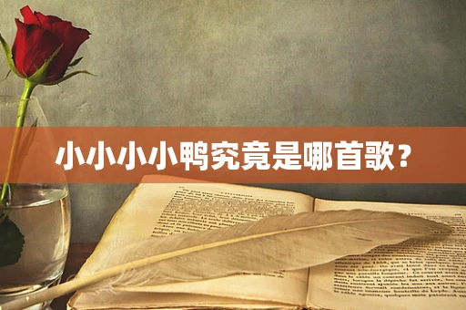 小小小小鸭究竟是哪首歌？