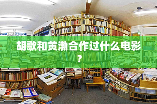 胡歌和黄渤合作过什么电影？