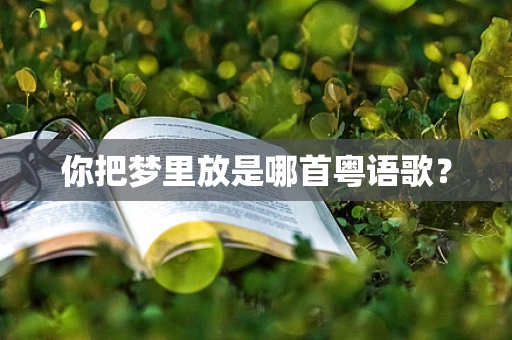 你把梦里放是哪首粤语歌？