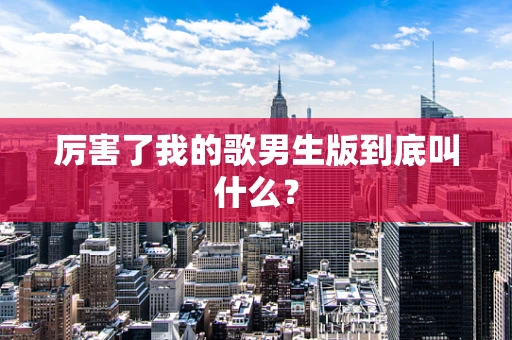 厉害了我的歌男生版到底叫什么？