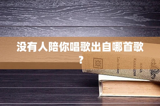 没有人陪你唱歌出自哪首歌？