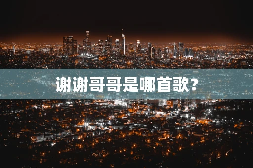 谢谢哥哥是哪首歌？