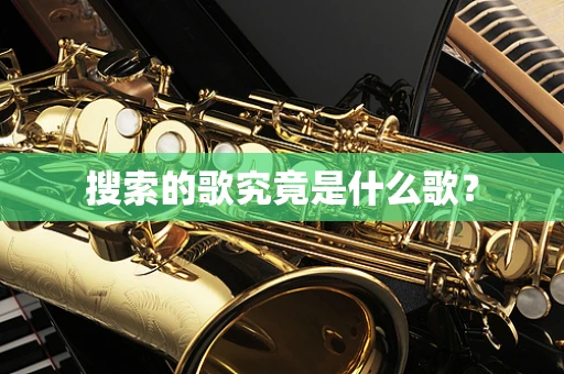 搜索的歌究竟是什么歌？