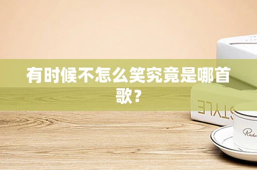 有时候不怎么笑究竟是哪首歌？