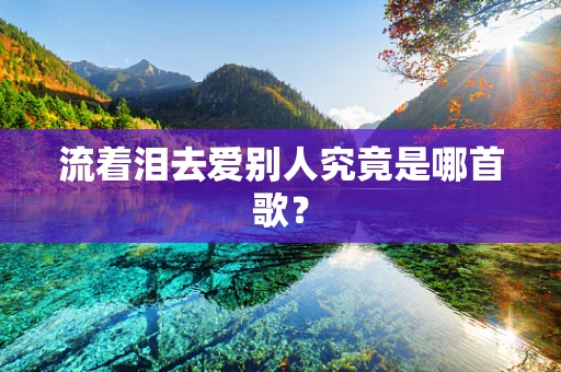 流着泪去爱别人究竟是哪首歌？