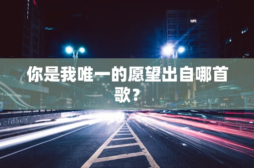 你是我唯一的愿望出自哪首歌？