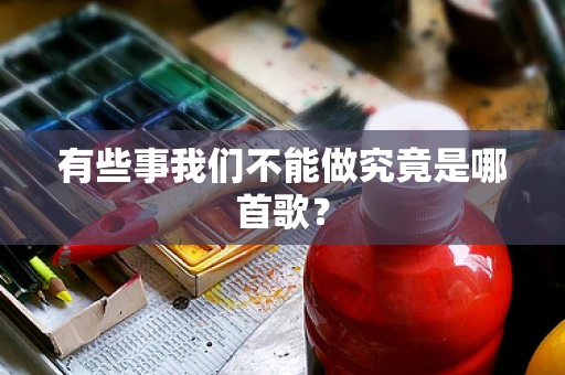 有些事我们不能做究竟是哪首歌？