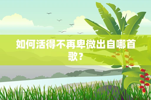 如何活得不再卑微出自哪首歌？