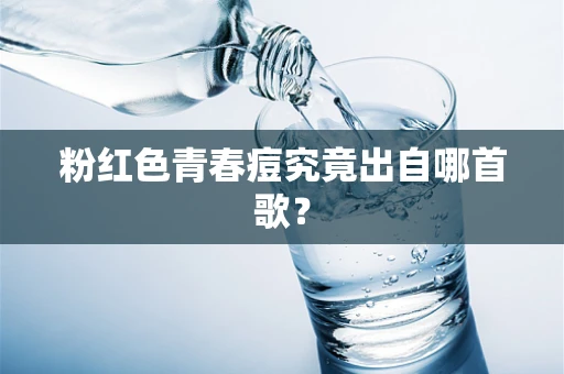 粉红色青春痘究竟出自哪首歌？