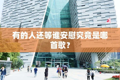 有的人还等谁安慰究竟是哪首歌？