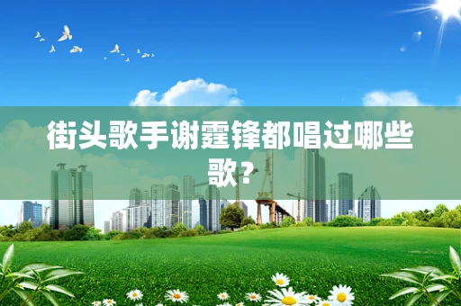 街头歌手谢霆锋都唱过哪些歌？