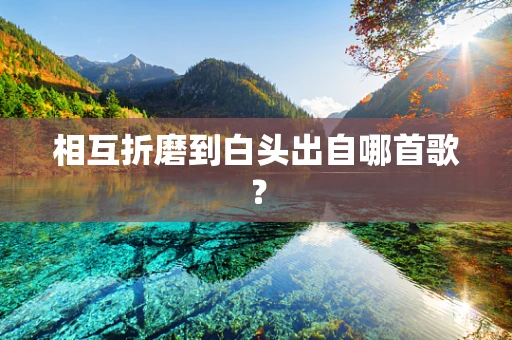 相互折磨到白头出自哪首歌？