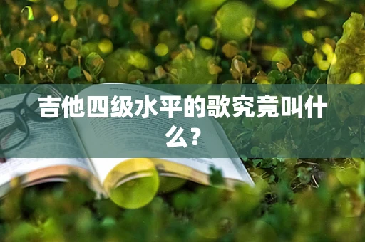 吉他四级水平的歌究竟叫什么？