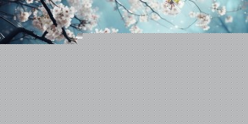 Toyouta的歌究竟是什么？