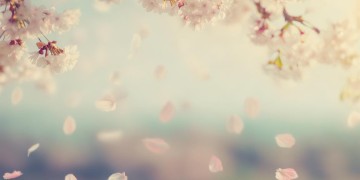 再也不见你的样子出自哪首歌？