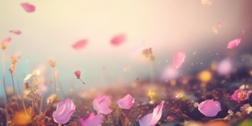 玲花还适合唱什么歌？