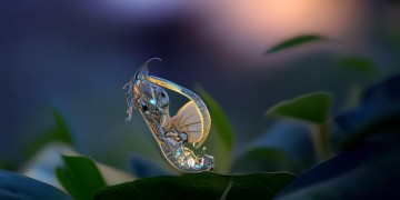 破茧这首歌到底表示什么？