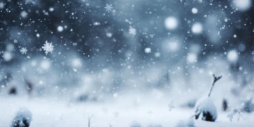 雪花一片一片究竟出自哪首歌？