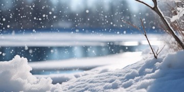歌词里有雪花的歌究竟是哪首？