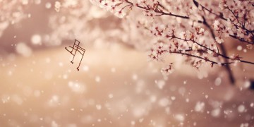 你快乐我流泪究竟是哪首歌？