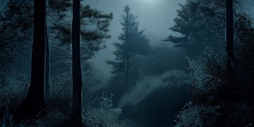 进入几个月的黑夜究竟是哪首歌？