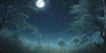 月光洒落吹北方究竟是哪首歌？