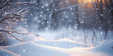 今年的雪来得太迟究竟是哪首歌？