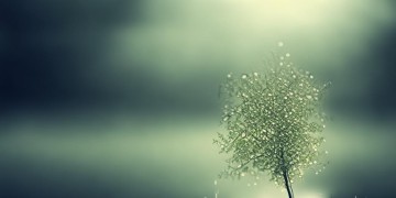 爱人总是让你受伤究竟是哪首歌？