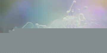 能给我你照片出自哪首歌？