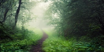 你负重前行的时候出自哪首歌？