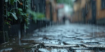 希哩哩的小雨究竟出自哪首歌？