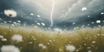 风里一声在动荡究竟是哪首歌？