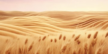 层层叠叠的节奏究竟是哪首歌？