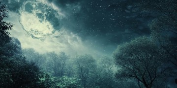 夜被思念缠绕着究竟是哪首歌？