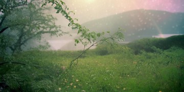 所有的风里雨里出自哪首歌？