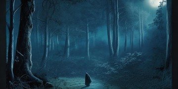 夜幕忍者究竟是什么歌？