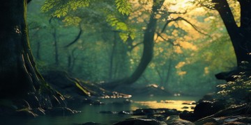 万物长久缄默出自哪首歌？